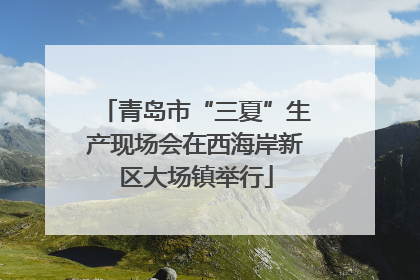 青岛市“三夏”生产现场会在西海岸新区大场镇举行