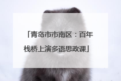 青岛市市南区：百年栈桥上演多语思政课