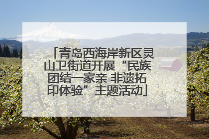 青岛西海岸新区灵山卫街道开展“民族团结一家亲 非遗拓印体验”主题活动