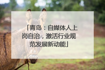 青岛：自媒体人上岗自治，激活行业规范发展新动能