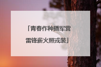 青春作种播军营 雷锋薪火照戎装