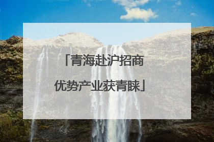 青海赴沪招商 优势产业获青睐