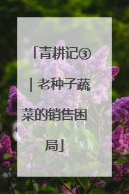 青耕记③｜老种子蔬菜的销售困局