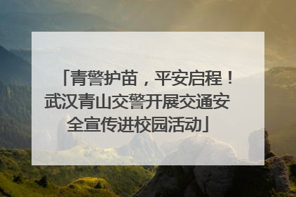 青警护苗，平安启程！武汉青山交警开展交通安全宣传进校园活动