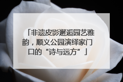 非遗皮影邂逅园艺雅韵，顺义公园演绎家门口的“诗与远方”