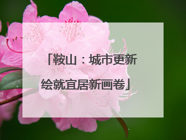 鞍山：城市更新绘就宜居新画卷