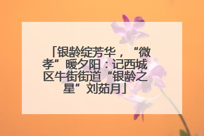 银龄绽芳华，“微孝”暖夕阳：记西城区牛街街道“银龄之星”刘茹月