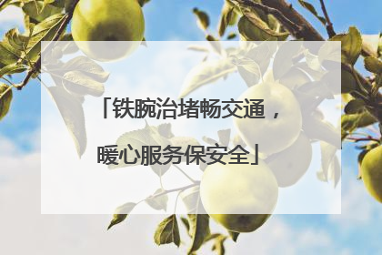 铁腕治堵畅交通，暖心服务保安全