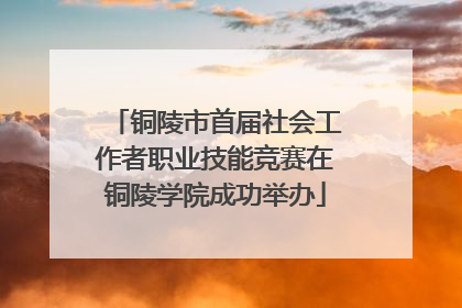 铜陵市首届社会工作者职业技能竞赛在铜陵学院成功举办