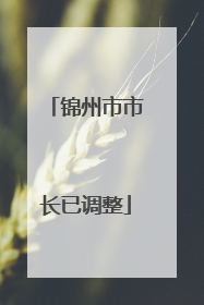 锦州市市长已调整