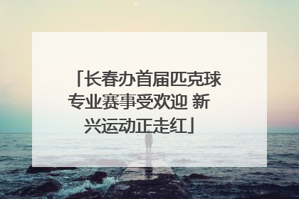 长春办首届匹克球专业赛事受欢迎 新兴运动正走红