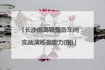 长沙南高铁整备车间：实战演练强能力(图)