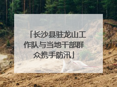 长沙县驻龙山工作队与当地干部群众携手防汛