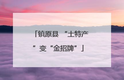 镇原县 “土特产”变“金招牌”