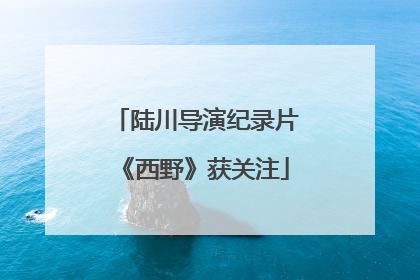 陆川导演纪录片《西野》获关注