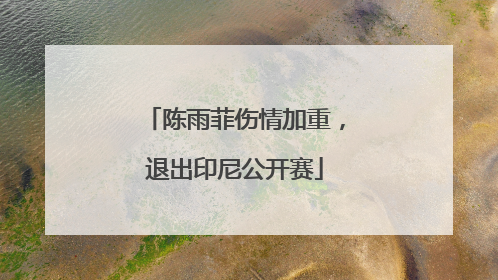 陈雨菲伤情加重，退出印尼公开赛