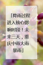 降雨过程进入核心影响时段！未来三天，重庆中雨大雨暴雨