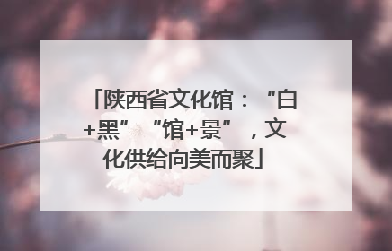 陕西省文化馆：“白+黑”“馆+景”，文化供给向美而聚