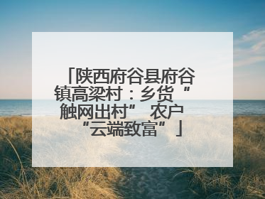 陕西府谷县府谷镇高梁村：乡货“触网出村” 农户“云端致富”