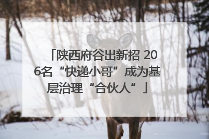 陕西府谷出新招 206名“快递小哥”成为基层治理“合伙人”