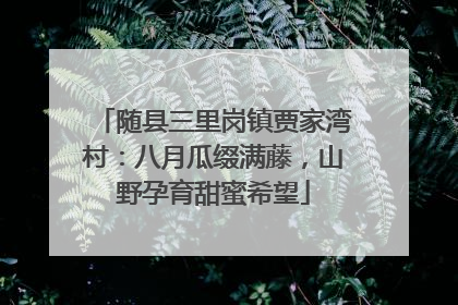 随县三里岗镇贾家湾村：八月瓜缀满藤，山野孕育甜蜜希望