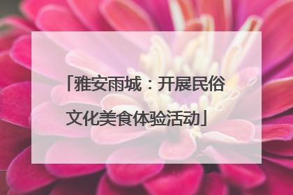 雅安雨城：开展民俗文化美食体验活动