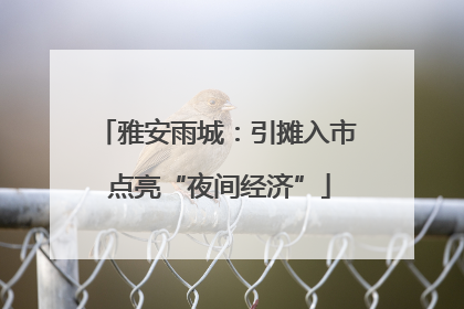 雅安雨城：引摊入市 点亮“夜间经济”