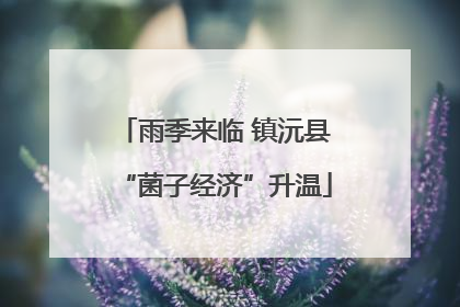 雨季来临 镇沅县“菌子经济”升温