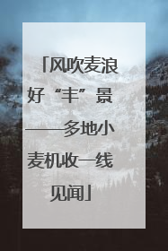 风吹麦浪好“丰”景——多地小麦机收一线见闻