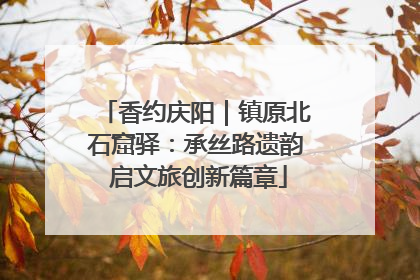 香约庆阳｜镇原北石窟驿：承丝路遗韵 启文旅创新篇章
