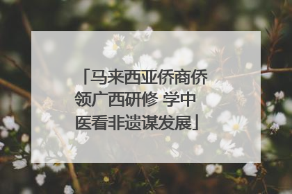 马来西亚侨商侨领广西研修 学中医看非遗谋发展