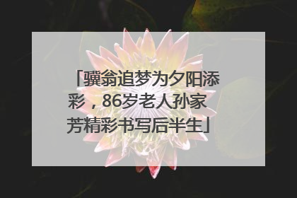 骥翁追梦为夕阳添彩，86岁老人孙家芳精彩书写后半生
