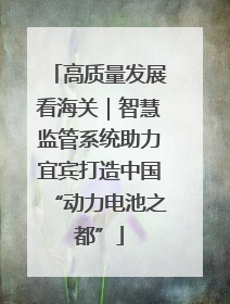 高质量发展看海关｜智慧监管系统助力宜宾打造中国“动力电池之都”