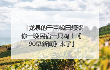 龙泉的千亩梯田想奖你一晚民宿一只鸡！《90早新闻》来了