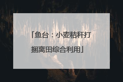 鱼台：小麦秸秆打捆离田综合利用