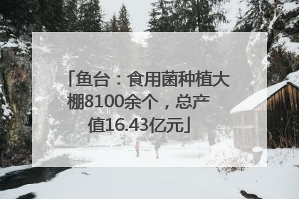 鱼台：食用菌种植大棚8100余个，总产值16.43亿元