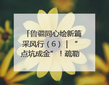 鲁疆同心绘新篇采风行（6）｜“点坑成金”！疏勒 “疆南渔村” 从废弃坑塘变身全国垂钓胜地