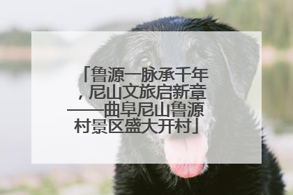 鲁源一脉承千年，尼山文旅启新章——曲阜尼山鲁源村景区盛大开村