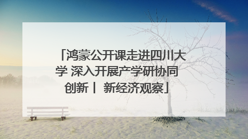 鸿蒙公开课走进四川大学 深入开展产学研协同创新丨 新经济观察
