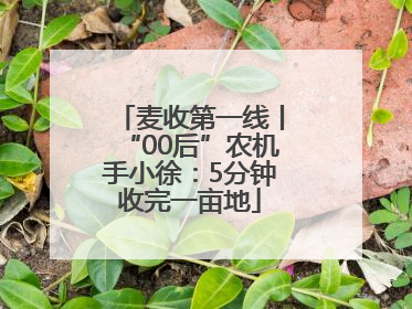 麦收第一线丨“00后”农机手小徐：5分钟收完一亩地