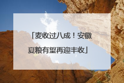 麦收过八成！安徽夏粮有望再迎丰收