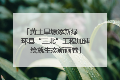 黄土旱塬添新绿——环县“三北”工程加速绘就生态新画卷