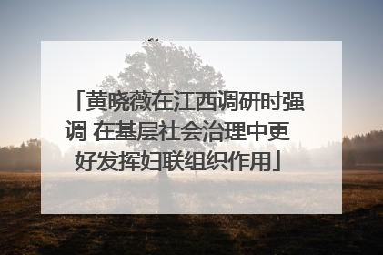 黄晓薇在江西调研时强调 在基层社会治理中更好发挥妇联组织作用