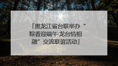 黑龙江省台联举办“粽香迎端午·龙台情相融”交流联谊活动