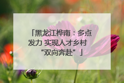 黑龙江桦南：多点发力 实现人才乡村“双向奔赴”