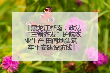 黑龙江桦南：政法“三箭齐发”护航农业生产 田间地头筑牢平安建设防线