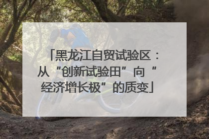 黑龙江自贸试验区：从“创新试验田”向“经济增长极”的质变