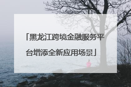 黑龙江跨境金融服务平台增添全新应用场景
