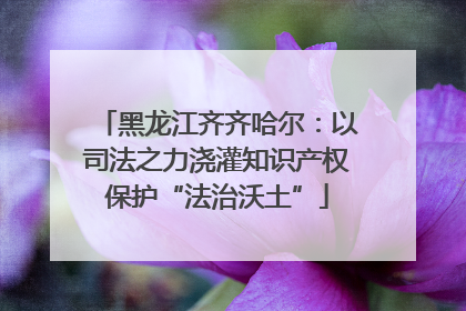 黑龙江齐齐哈尔：以司法之力浇灌知识产权保护“法治沃土”