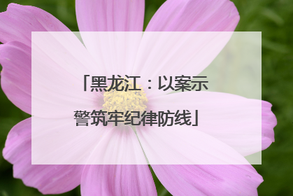 黑龙江：以案示警筑牢纪律防线
